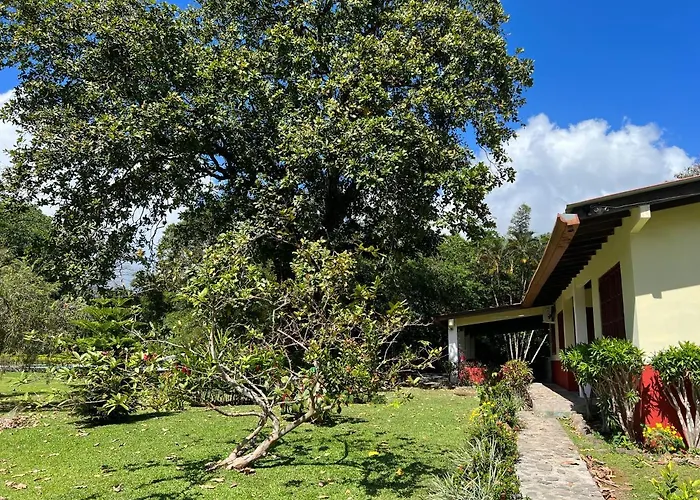 La Casa De Los Patos