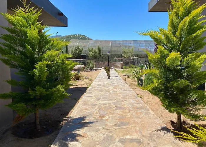 Coquenas Del Valle