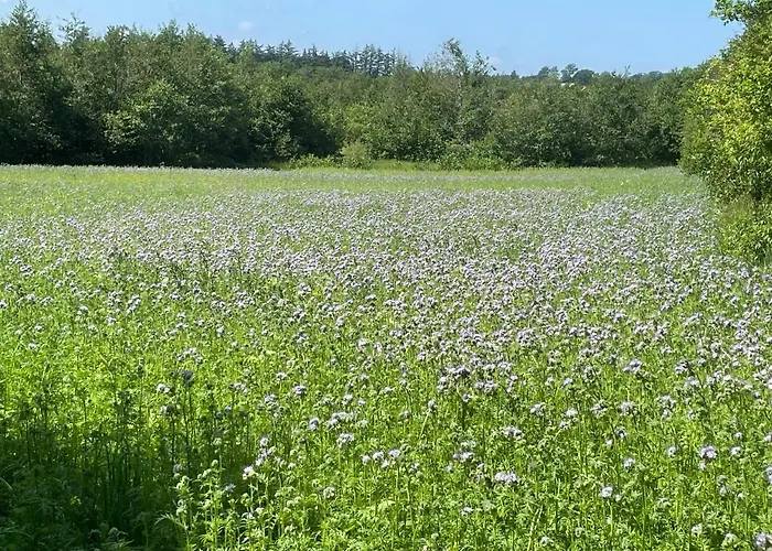 Korsholt-Natur B-B