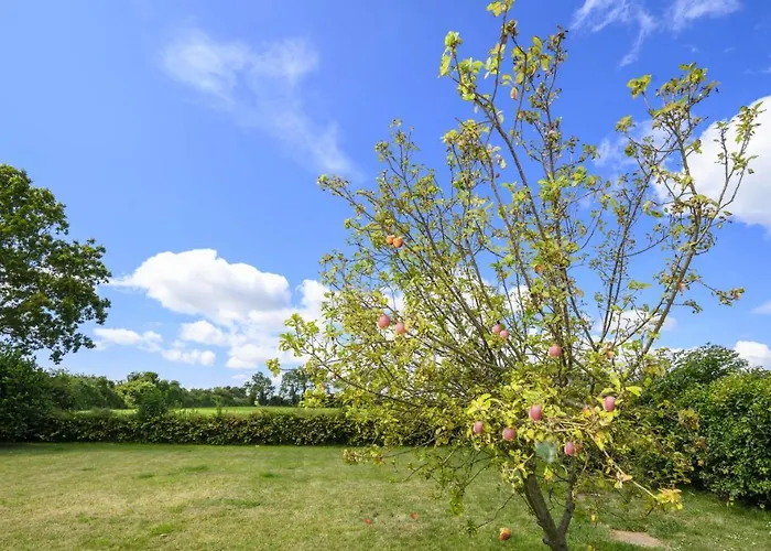 Appledown - Secluded Rural Retreat In Kingsdown, 10 Mins To Beach