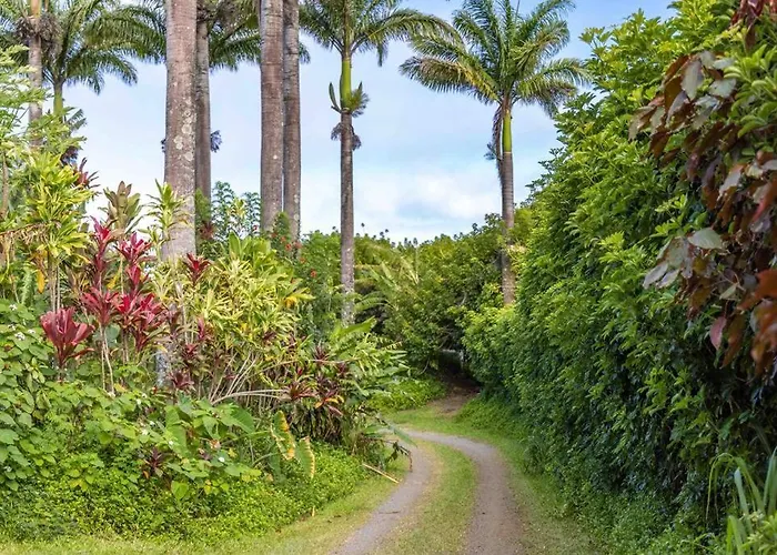 Cliff House With Ocean Views In Haiku, Maui Jungle