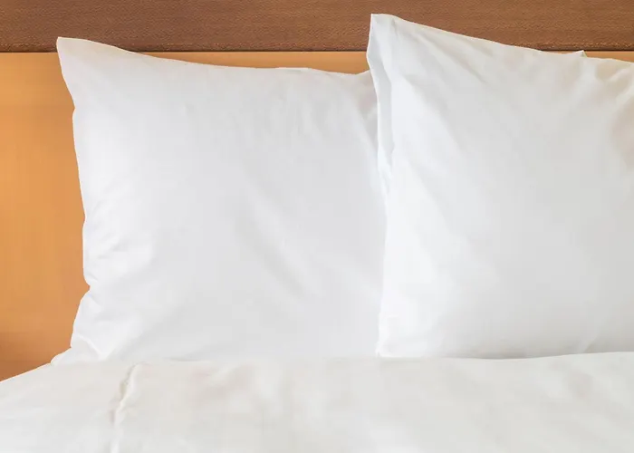 3 star hotels Holiday Inn Express Dubai Airport By Ihg