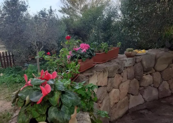 B&B Domus Oriens - Monolocale Con Giardino, No Fornelli