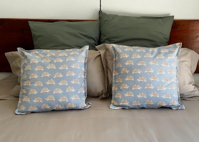 Tortoise Retreat