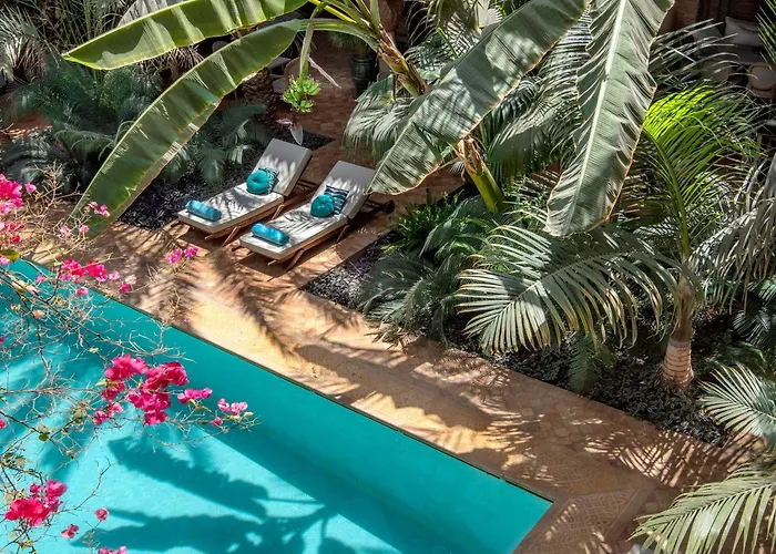 Hôtel accueillant les animaux: La Sultana Marrakech