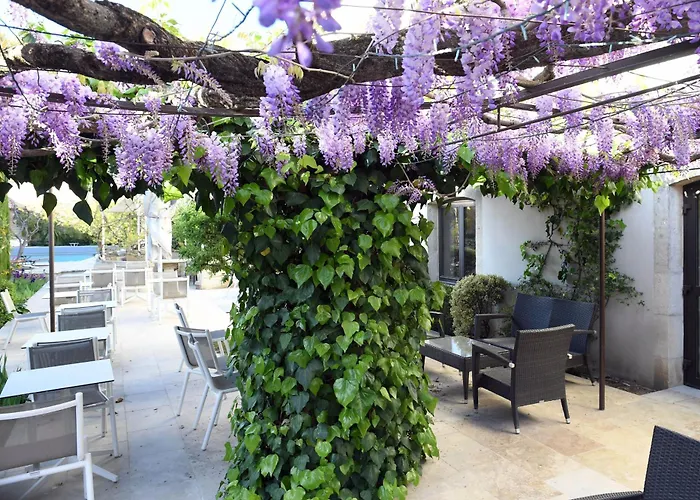 Hôtel accueillant les animaux: Hotel du Soleil et Spa