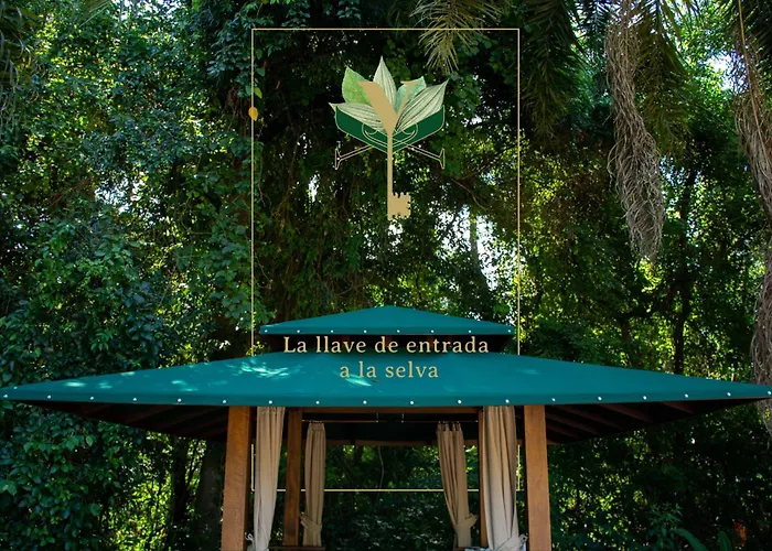 Yvy De Selva