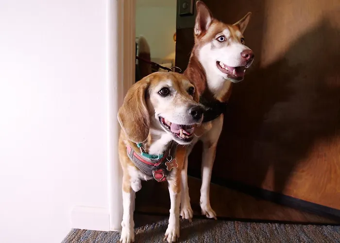 Sierra Blue Hotel & Swim Club