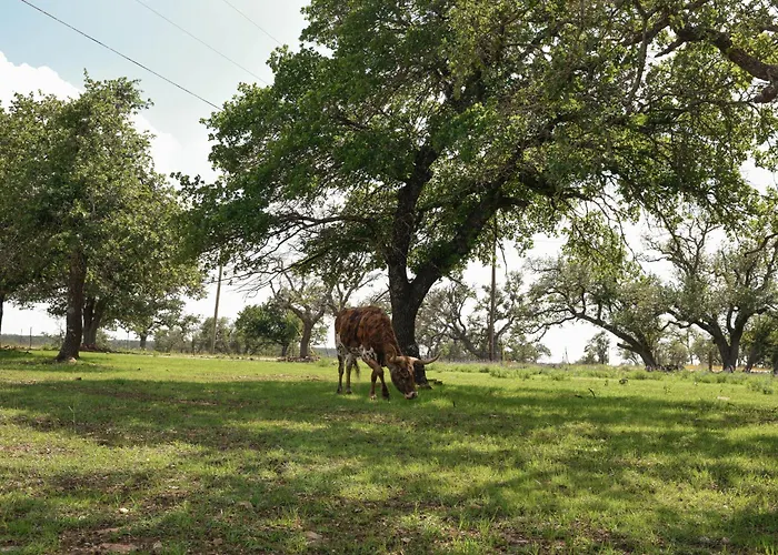 Best Little Fredericksburg Texas Bed And Breakfast