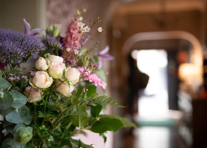 Guest house: Adare Guesthouse