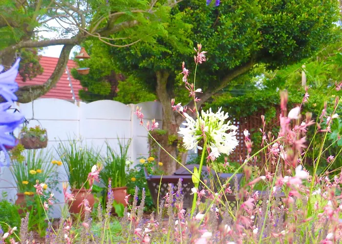 Whistlewood Guesthouse Walmer, Port Eizabeth