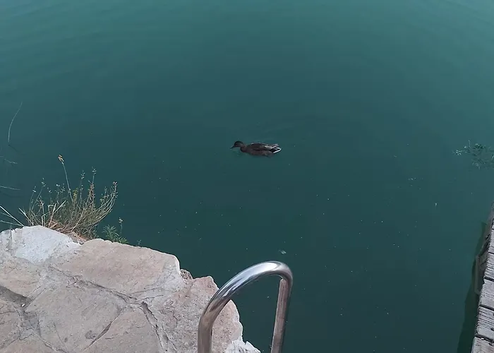 Casa de vacaciones: Casa La Caoba