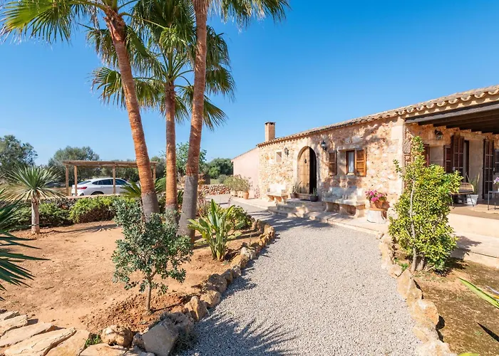 Ses Oliveres Campos 