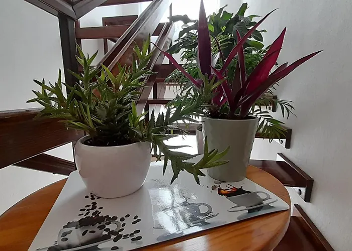 Pokoje Goscinne, Apartamenty Jas I Malgosia