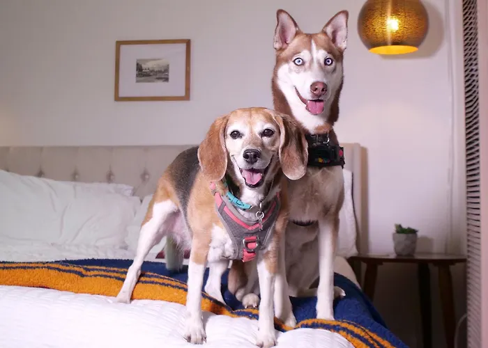 Sierra Blue Hotel & Swim Club