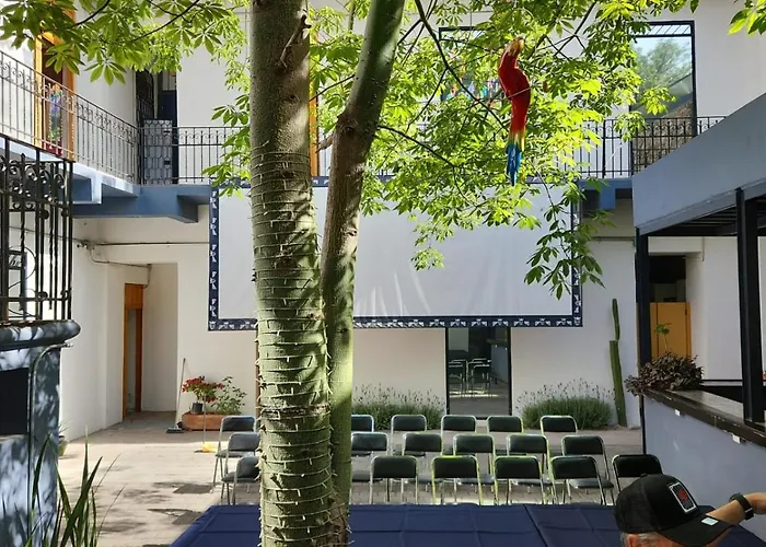 Choco Hostel
