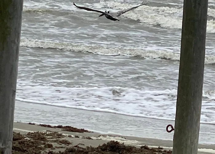 Pelican Hideaway