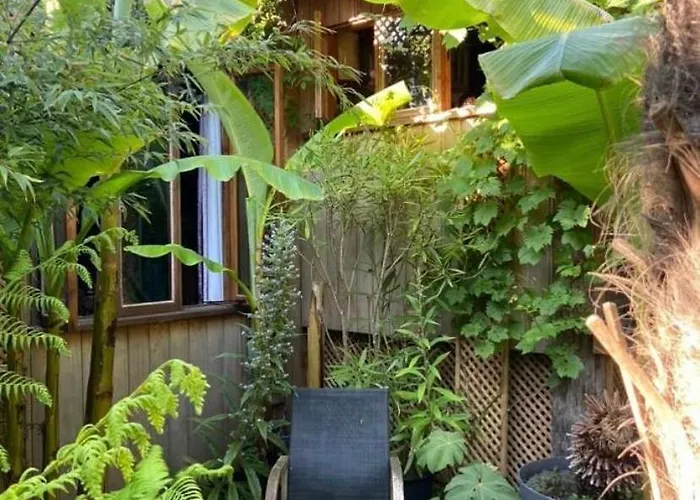 Jungle Cabin