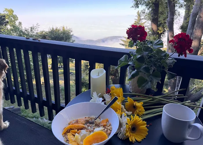 100 Mile View-Fire Pit, Romantic, Peaceful, Private