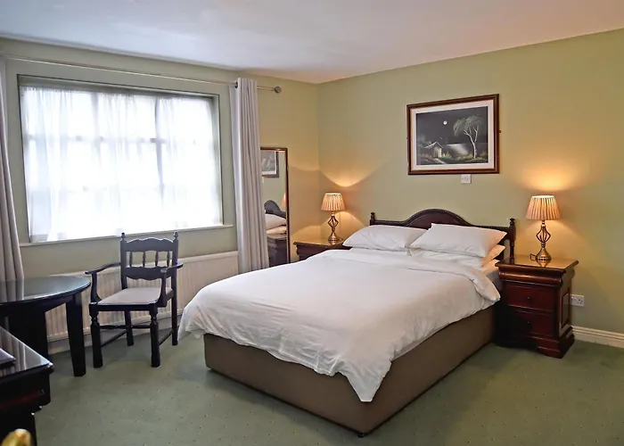 Guest house: Clooneen House