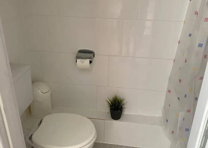 Zimmer Austernfischer