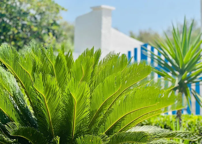 Casa Loca Del Mar