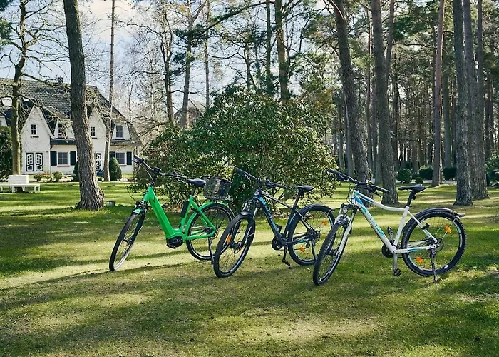 Ferienhaeuser Duenenmeer
