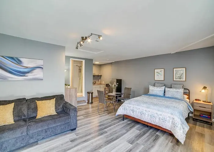Spacious Studio With Private Entry
