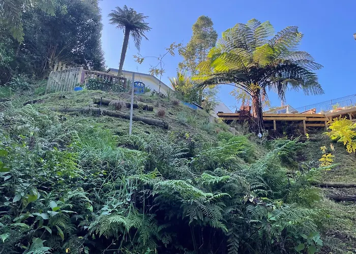 Gully Retreat