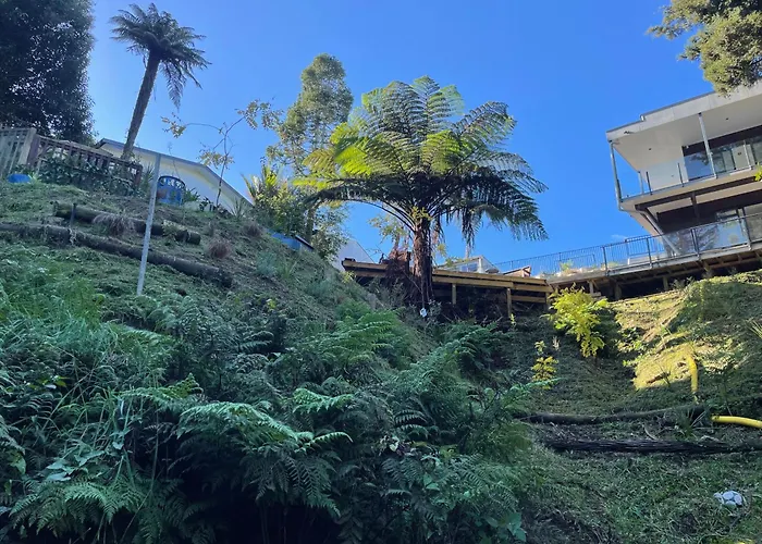 Gully Retreat