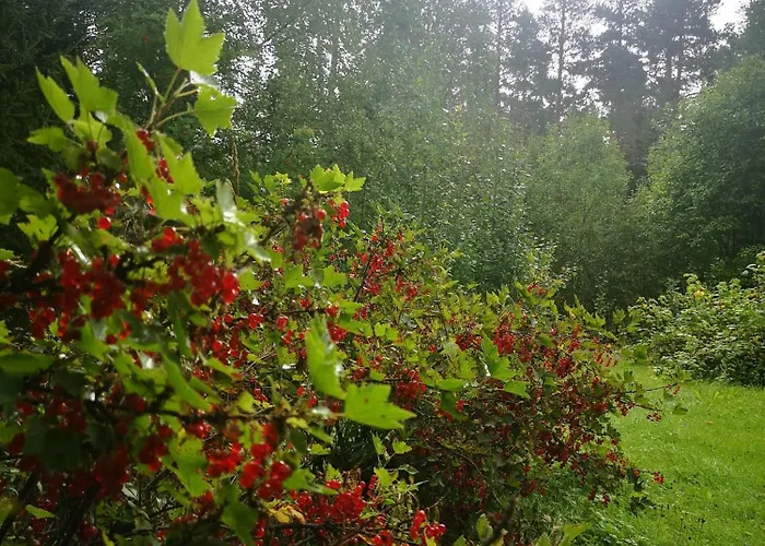 Villa Ka Stor Elvdal