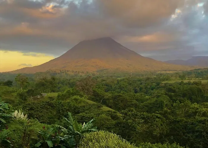 4 star hotel: Lost Iguana Resort And Spa