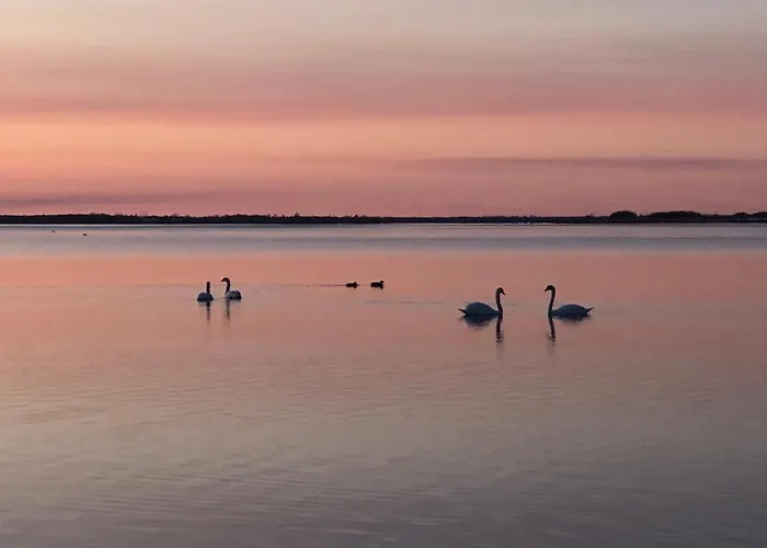 Naturlig Ro