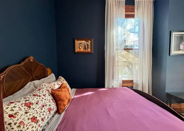 Large Historical Home For Groups Walk To Downtown!
