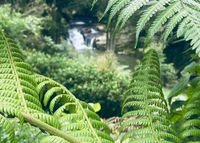 Matakana Waterfall Hideaway