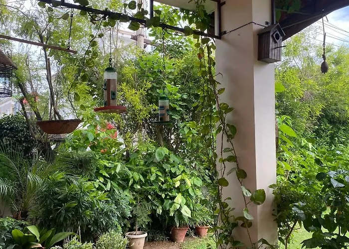 Villa With Tropical Garden