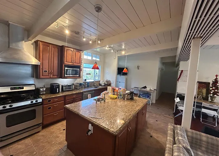Olive Startup House