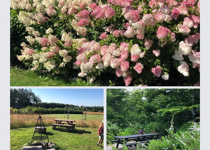 Egebjerggaard Bed & Breakfast
