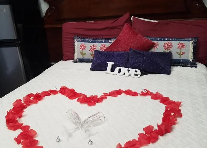 Boutique Dog Friendly Hotel Ocean City Mansion
