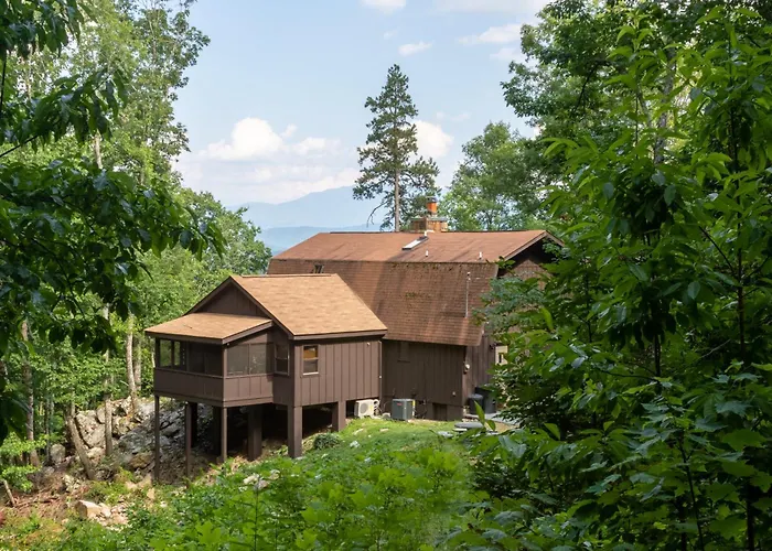 Lazy Bear Cabin