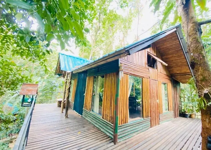 Khao Sok Tree House Resort