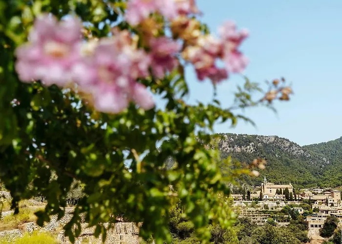 Es Bosc Des Frares - Valldemossa