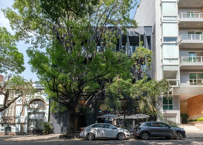 Boga Mexico City By Lumina