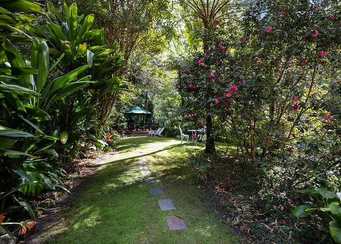Rosella'S On Springbrook