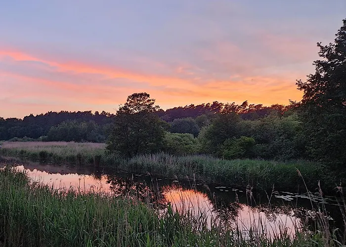Pension Wiesenhof B&B