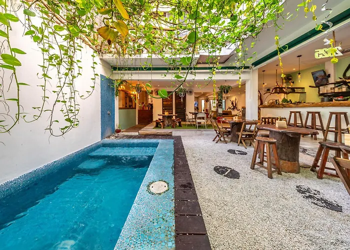 Perros hoteles Green Village Boutique