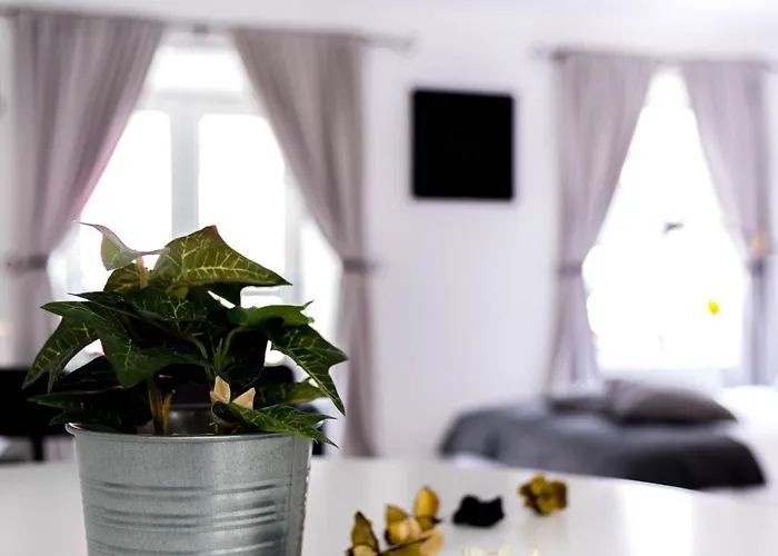 Amica Guesthouse