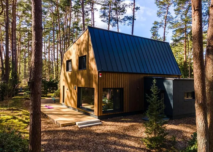 Waldvilla Mit Tiny House Im Kuestenwald