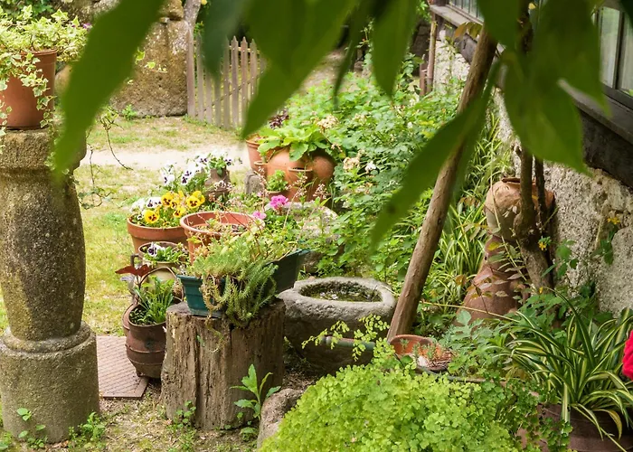 Da Quinta Lavoura Da Bouça - Fruta Bio Cabana