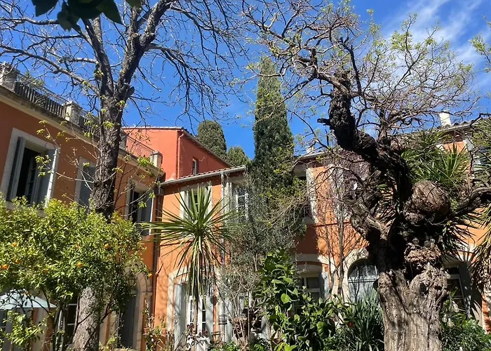 Maison 3 Chambres Centre Ville, Jardin Et Bassin Privatifs